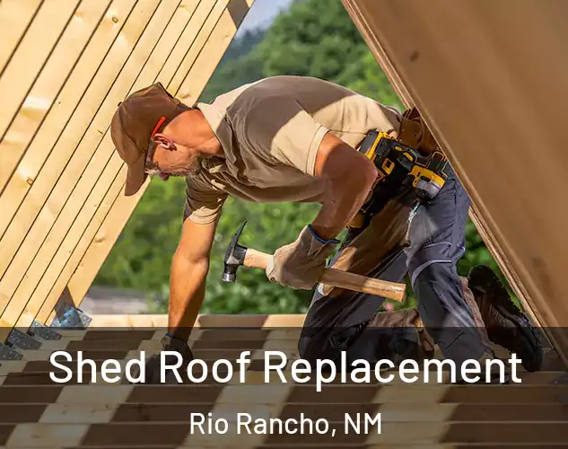  Shed Roof Replacement Rio Rancho, NM